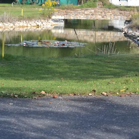 Daire Tradicni Cesky Dum S Loznicemi V Podkrovi Vsejany