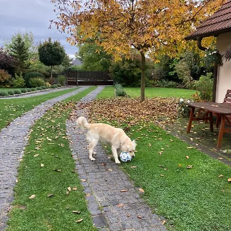 Tradicni Cesky Dum S Loznicemi V Podkrovi Vsejany