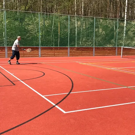 Lejlighed Tradicni Cesky Dum S Loznicemi V Podkrovi Vsejany