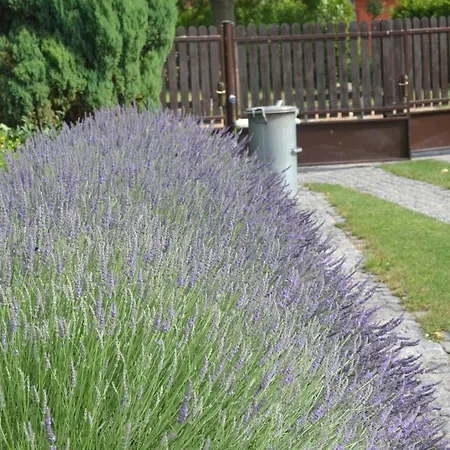 Tradiční český Dům S Ložnicemi V Podkroví Apartmán *