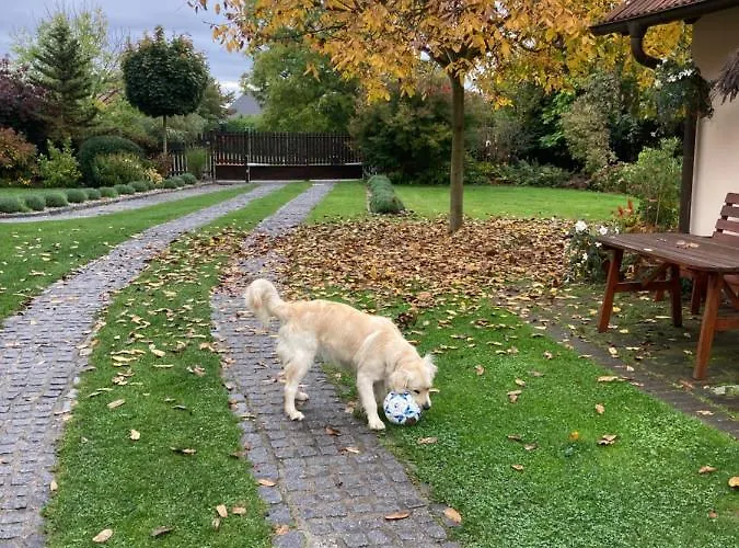 Tradicni Cesky Dum S Loznicemi V Podkrovi Vsejany