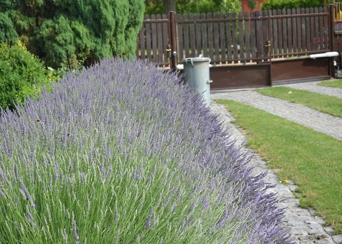 Tradiční český Dům S Ložnicemi V Podkroví Apartmán *